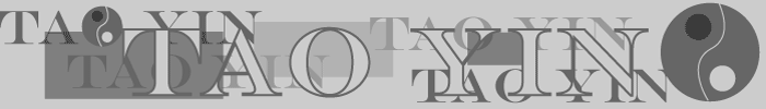 Logotype du site TaoYin