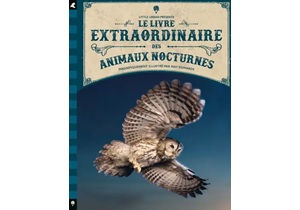 Le livre extraordinaire des <br />
<b>Warning</b>:  Undefined variable $ExplorateurNom in <b>/home/flokita/www/biblio/livres_extra/livreB.php</b> on line <b>63</b><br />
