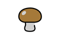 champignons