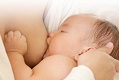 L’allaitement - De la naissance au sevrage