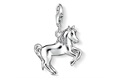 charm Thomas Sabo 1074-007-12