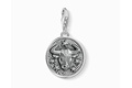 charm Thomas Sabo 1641-643-21